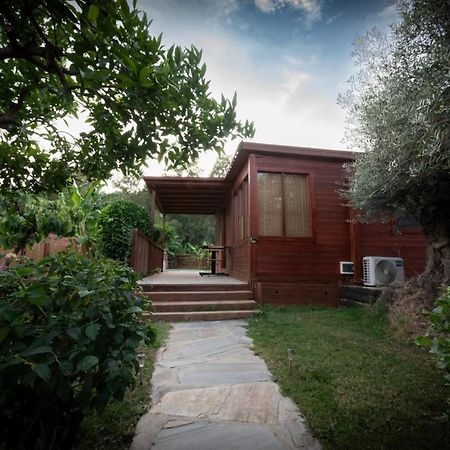 Вилла El Jardin Del Eden Орхива Экстерьер фото
