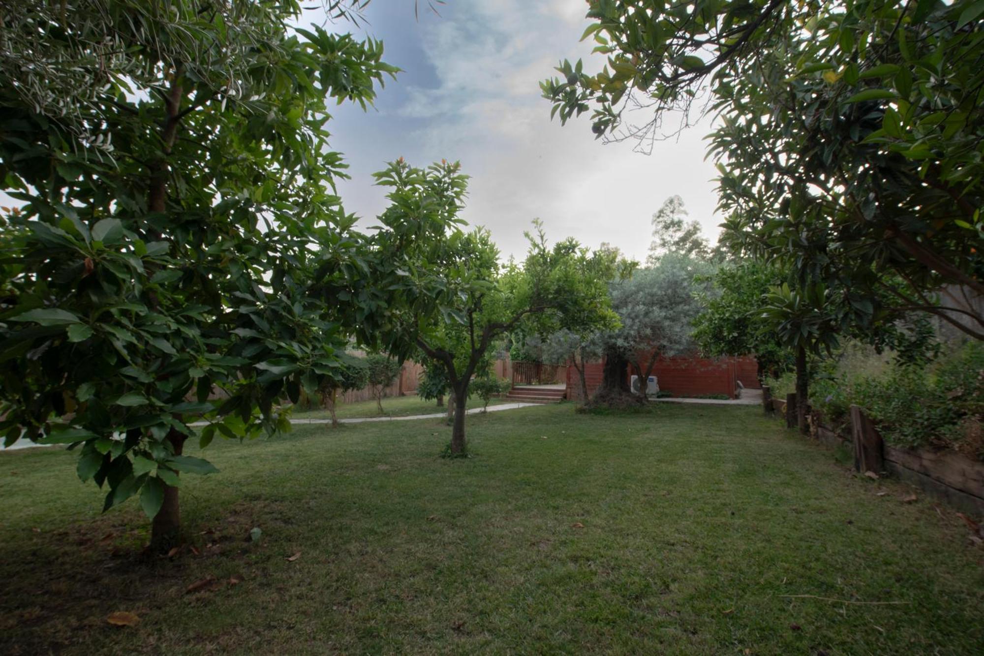 Вилла El Jardin Del Eden Орхива Экстерьер фото